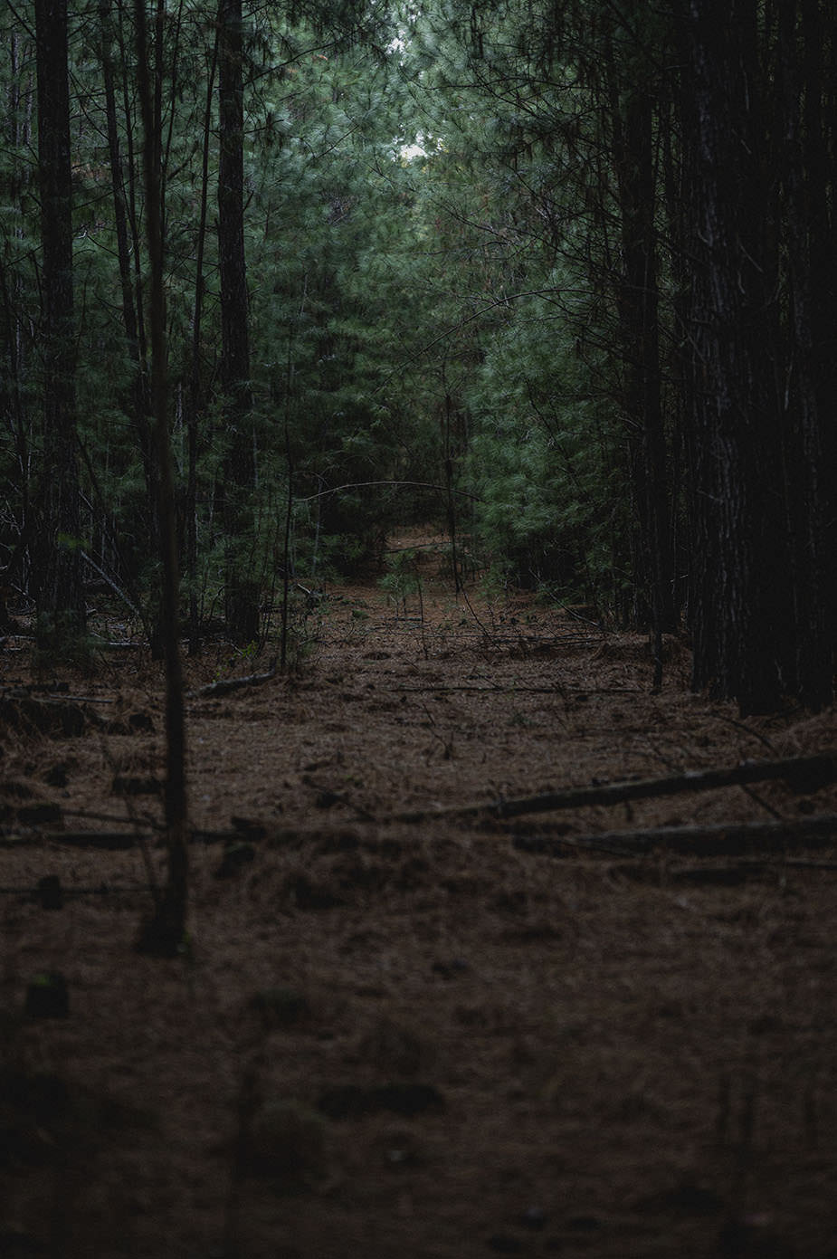 Secreto III