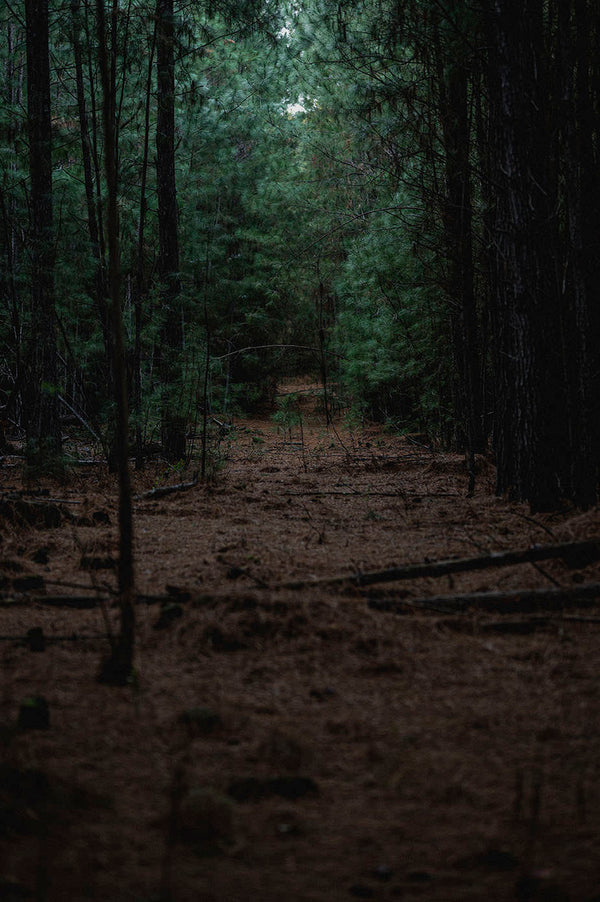 Secreto III