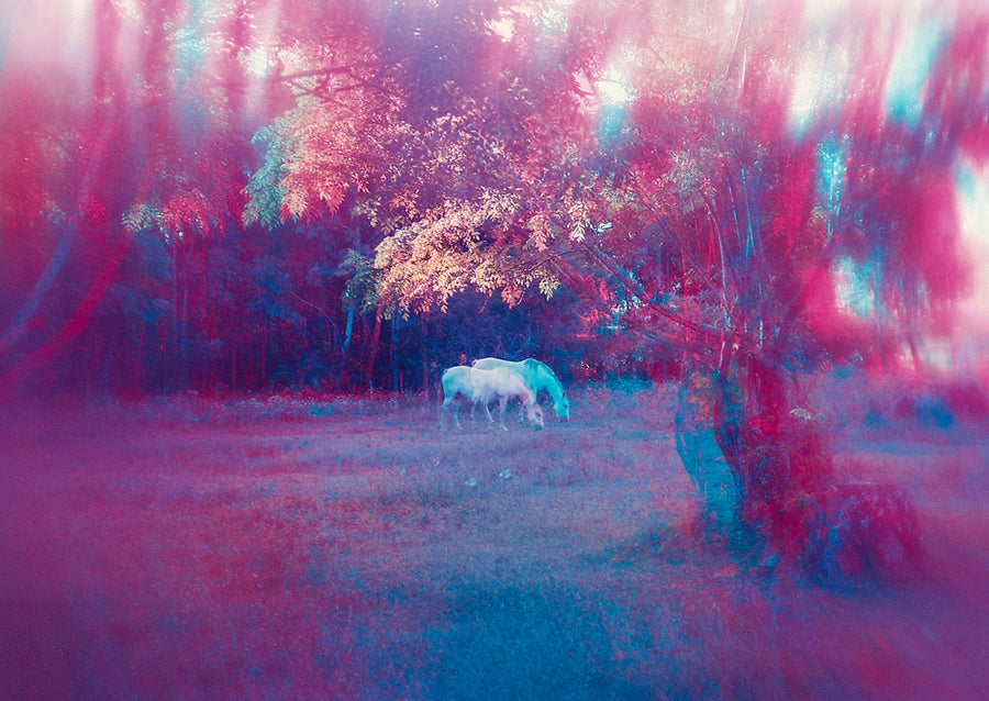 Expectro Patronum