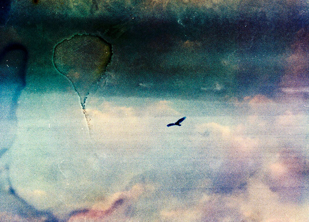 Volar la noche