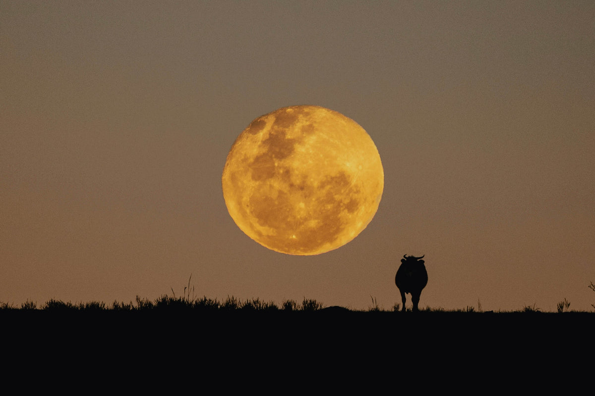 Super Luna