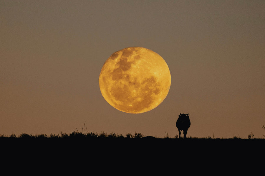 Super Luna