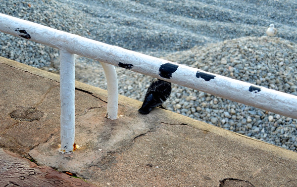 Cabeza Pintada
