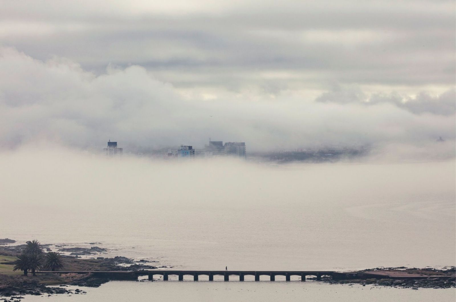 Caminando en la niebla