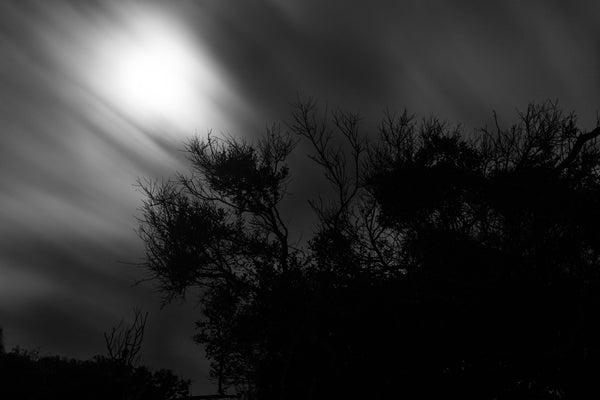 Nocturna I