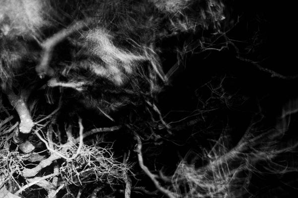 Nocturna IV