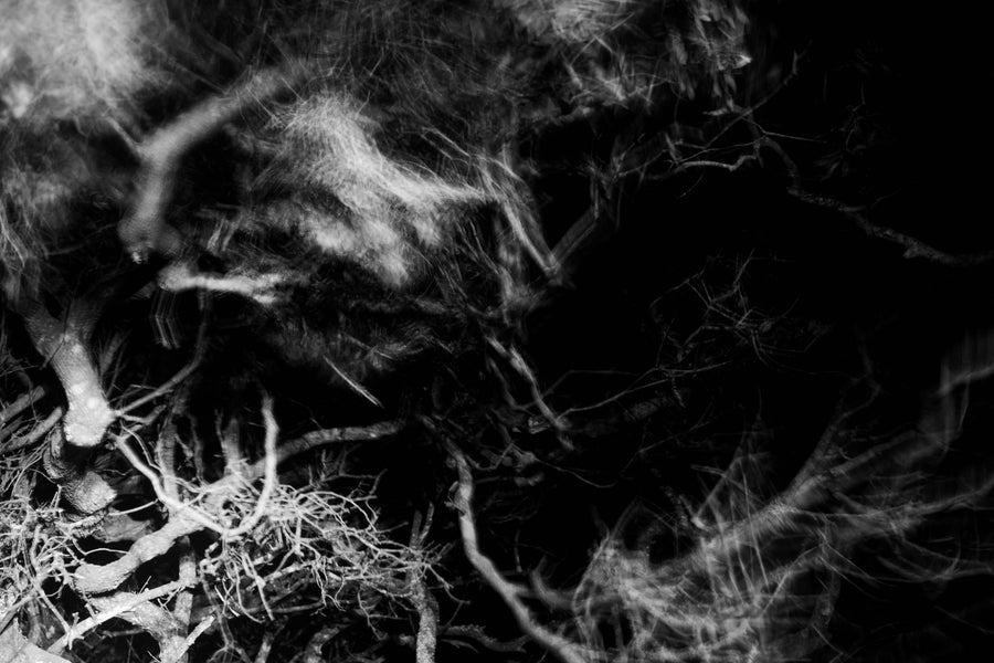 Nocturna IV