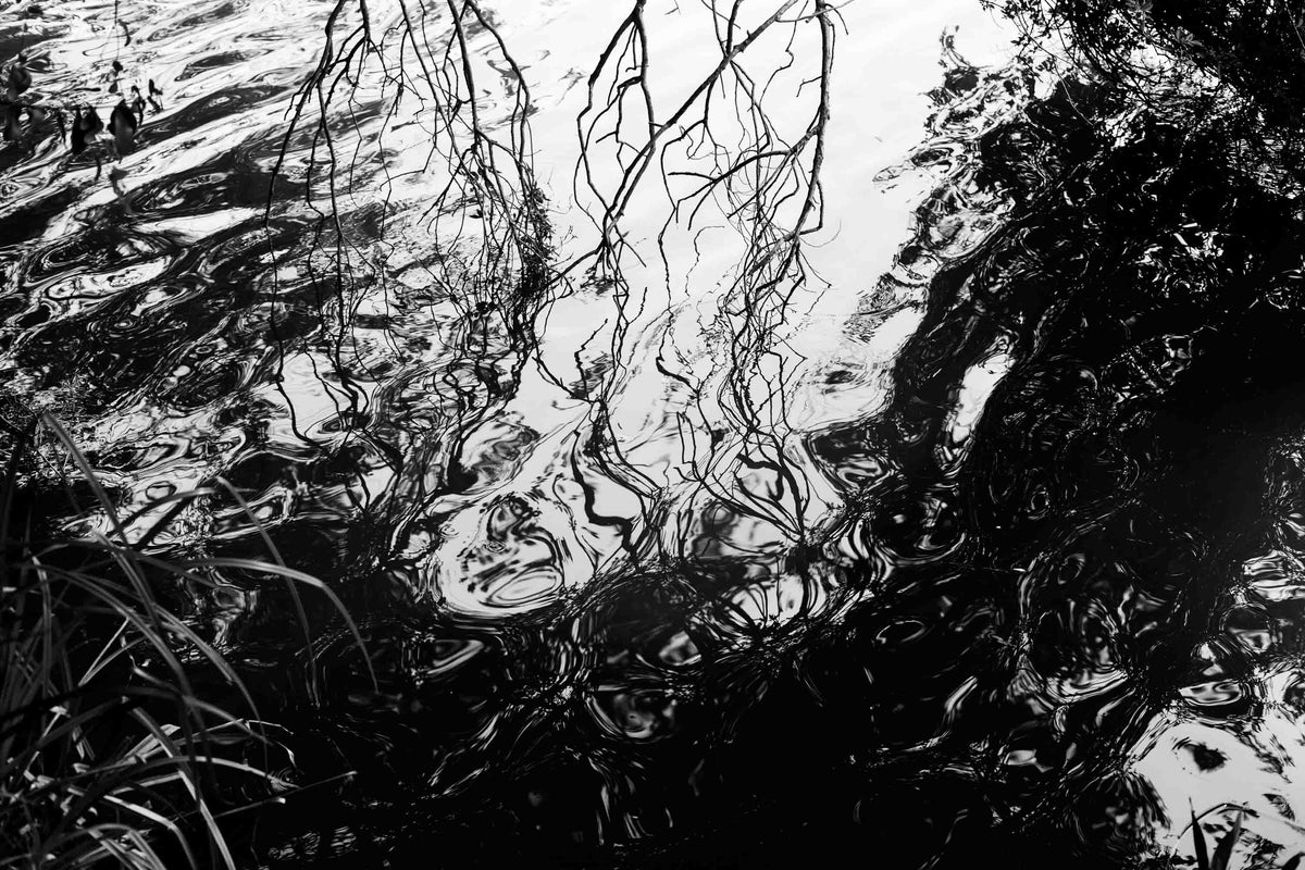 Reflejos