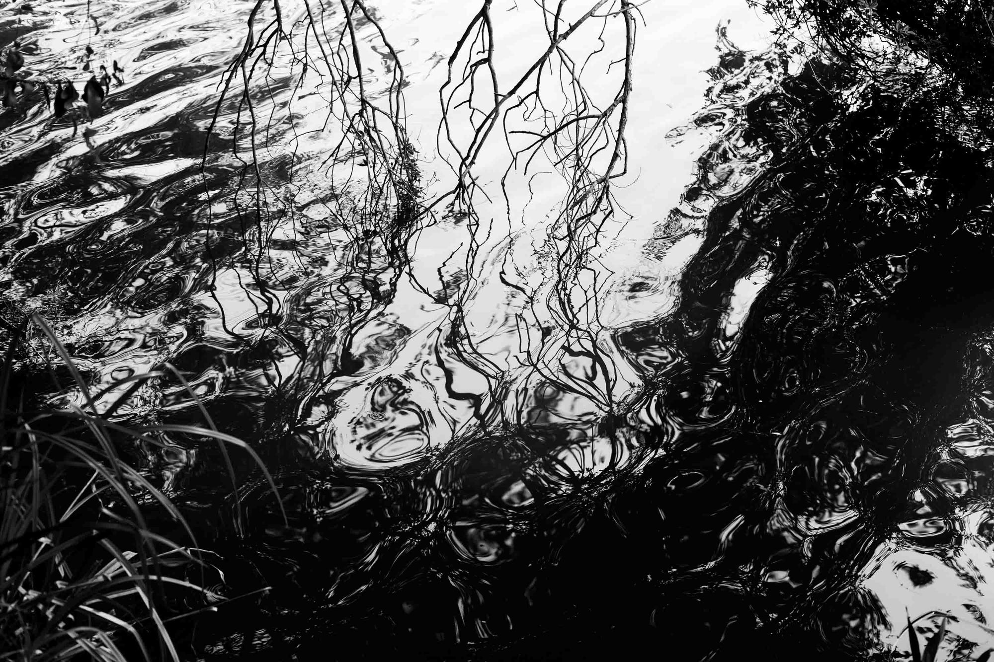 Reflejos