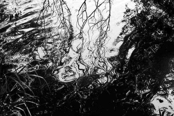 Reflejos