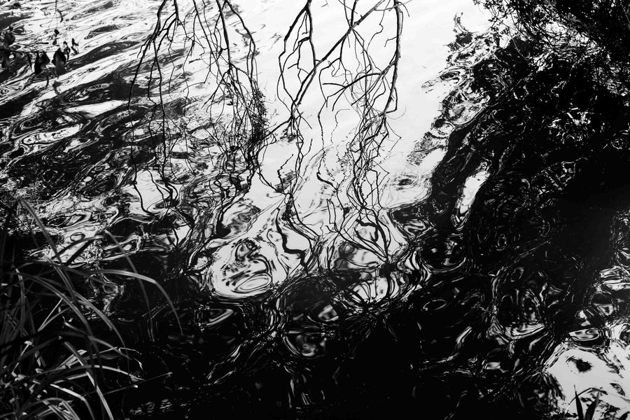 Reflejos