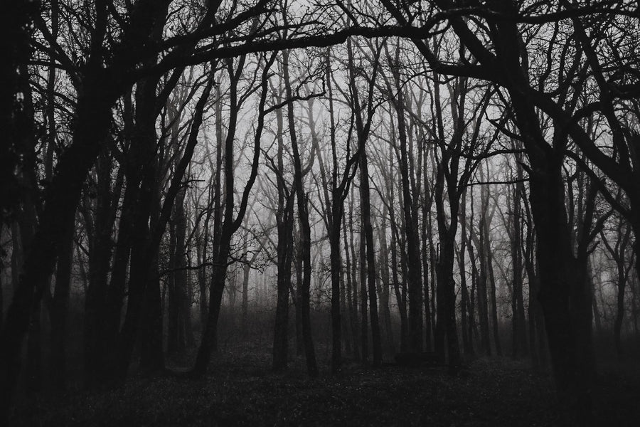 Ghost in the storm I