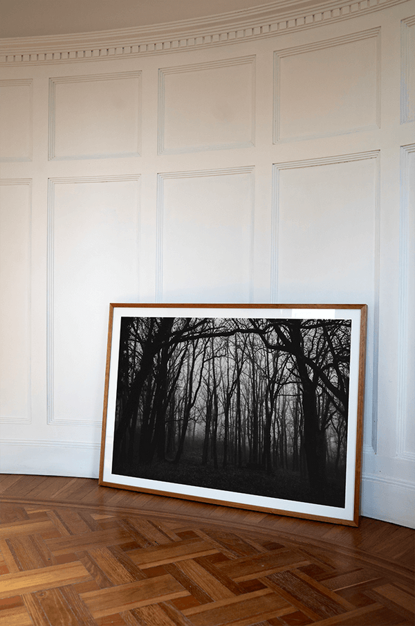 Ghost in the storm I