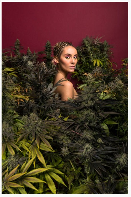 Mona Lisa