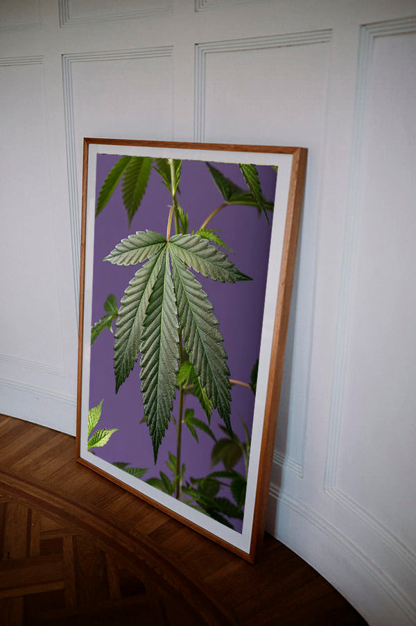 Poster divino